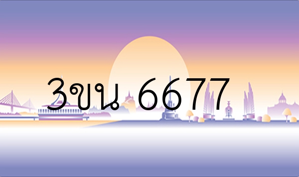 3ขน 6677